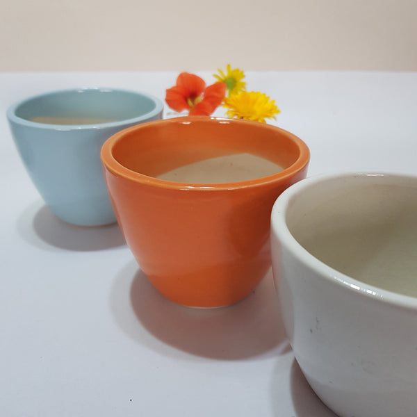 Indoor Glazed Ceramic Plant Pot